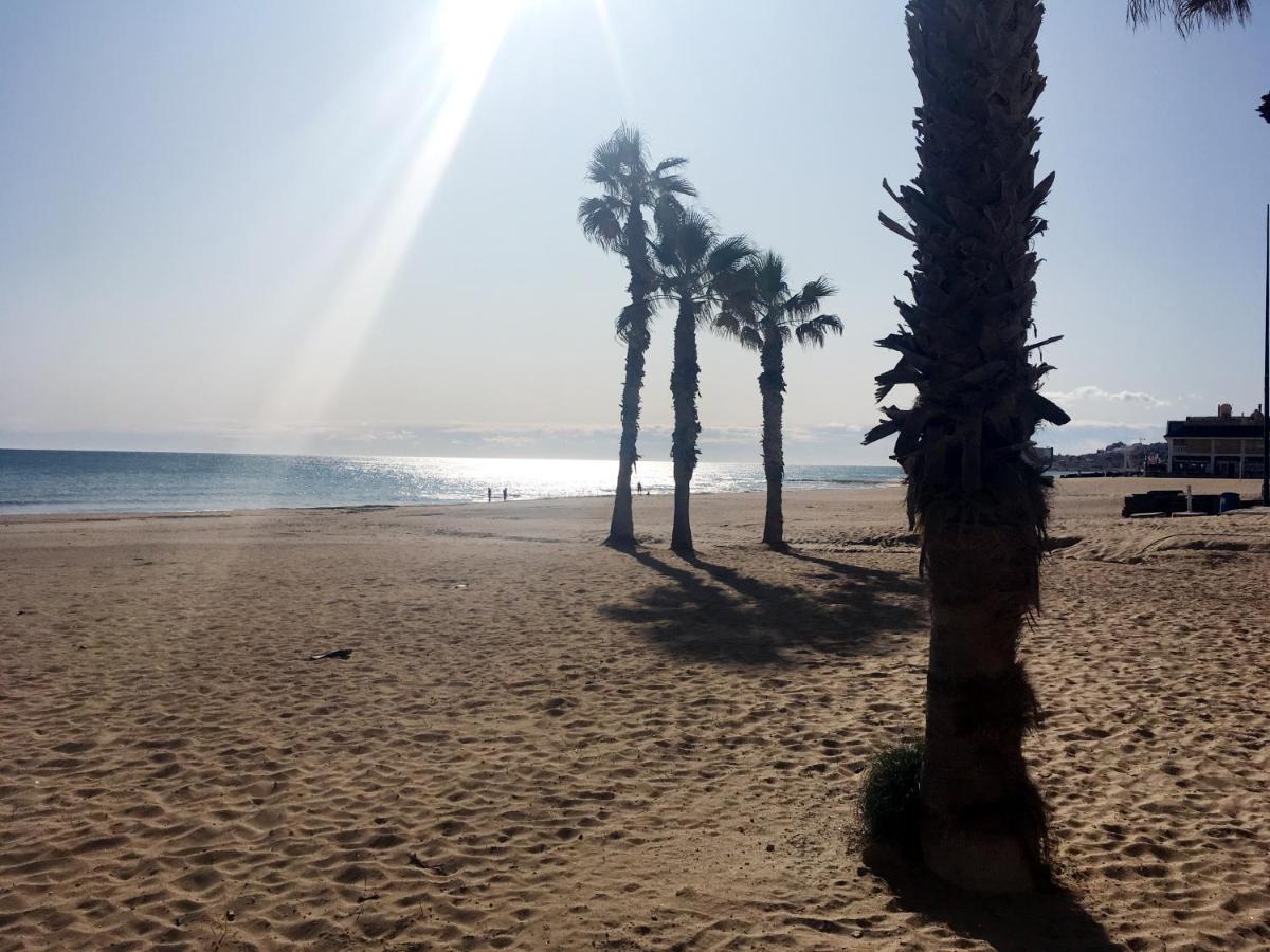 Apartmento Hana Con Terraza - Despues De La Renovacion General La Mata  Kültér fotó